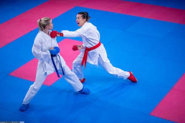 韩国优势体育项目及国际表现分析(图1)